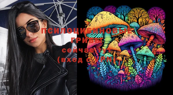 mix Пестово