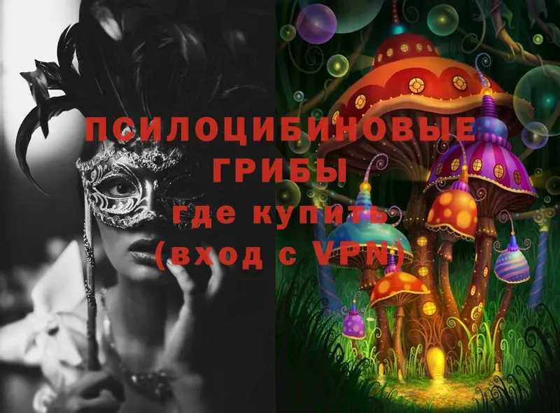 Галлюциногенные грибы Magic Shrooms  omg маркетплейс  Кувандык 