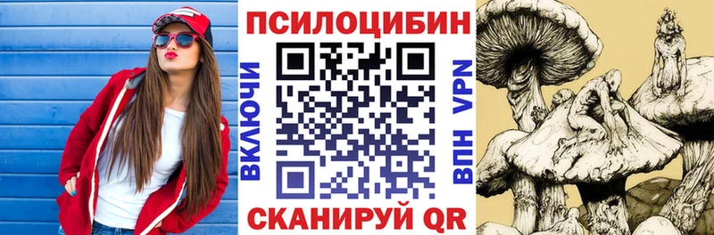 Псилоцибиновые грибы Cubensis  Кувандык 