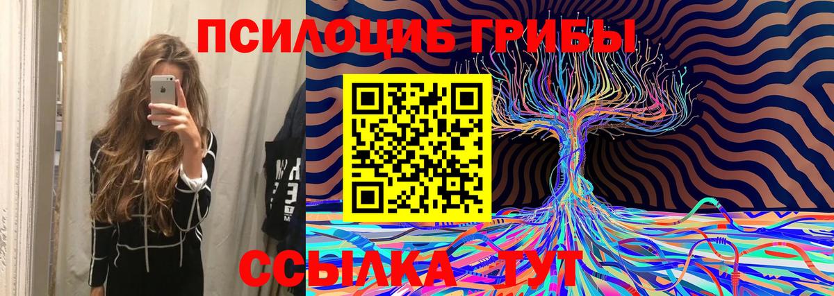 Псилоцибиновые грибы Psilocybine cubensis  Псилоцибиновые грибы Cubensis  Вход с VPN  Кувандык 
